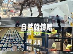 -中华赏石园