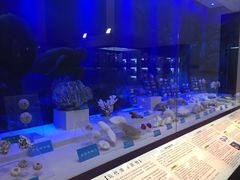 -中国药科大学（江宁校区）-图书馆