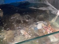 -北港方记海鲜楼·海景餐厅