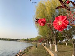 -漕湖湿地公园