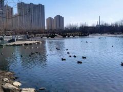 -前关湿地公园