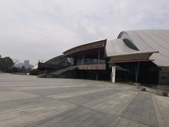-合肥大剧院