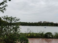 -昆山城市生态森林公园