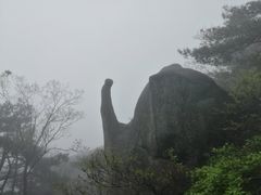 -文娟土菜馆(天柱山店)
