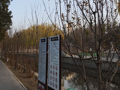 -元大都城垣遗址公园