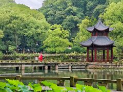 -忠山公园