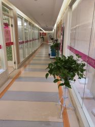 -金月汇月子会所(北大街店)