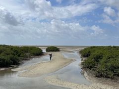 -北海金海湾红树林生态旅游区