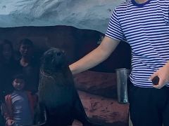 -泉州海丝野生动物世界