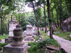 -北京上方山国家森林公园