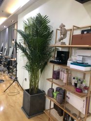 -涩谷· Hair Salon