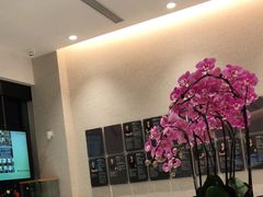 -TSK齿科德申会口腔门诊·联洋诊所