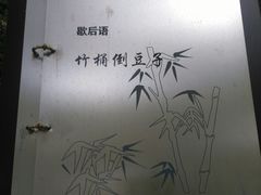 -镇江市南山风景名胜区竹林景区