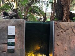 -墨尔本博物馆(Melbourne Museum)