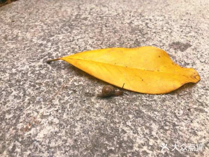 南京银杏湖乐园图片