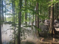 -东湖落雁景区