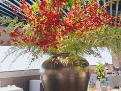 -在前门·烤鸭北京菜(五月花广场店)