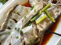 -晓琦农家菜馆·地道农家菜