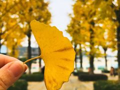 -两江幸福广场