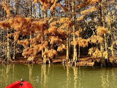 -上海海湾国家森林公园