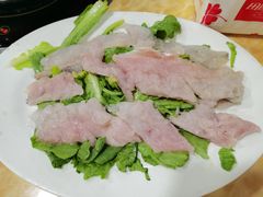 -金砂阿洲鱼册店