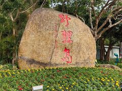 -野狸岛