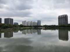 -南翔镇银翔湖公园