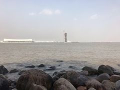 -吴淞炮台湾湿地森林公园烧烤区