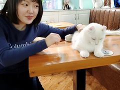 -猫小院猫主题餐厅(三里屯店)