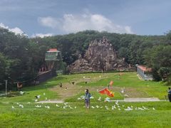 -哈尔滨北方森林动物园
