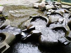 -成都市活水公园