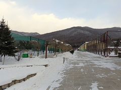 -横道河子东北虎林园