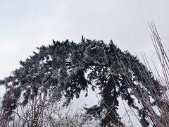 -终南山南五台景区