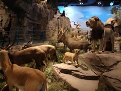 -陕西自然博物馆