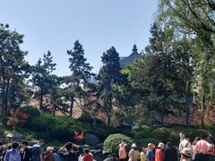 -西安青龙寺遗址景区