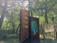 -北陵公园