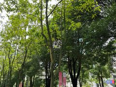 -天河体育中心篮球城