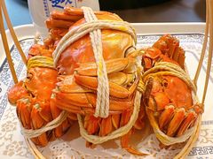 -欢乐蟹庄·精品农家乐(阳澄湖莲花岛店)
