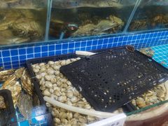 水产区-云南巷海鲜大咖·可加工海鲜