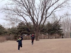 -朝阳公园游乐园