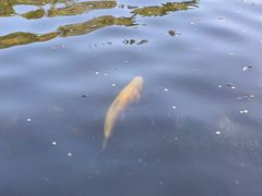 -水磨沟公园