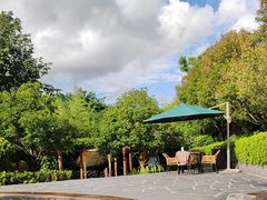 -腾冲洞山温泉村