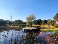 -美兰湖景区