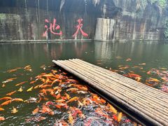 -千岛湖东南湖区