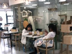 -喵园·猫主题咖啡厅·撸猫·猫咖(国贸店)