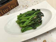 -大树餐厅(环球港店)
