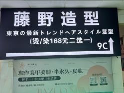 -藤野造型