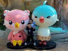 -杭州开元森泊度假乐园