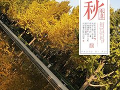 -玲珑塔公园