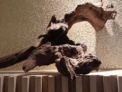 -玲珑时光保健会所(天河南路店)